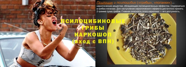 молекула духа Алексеевка